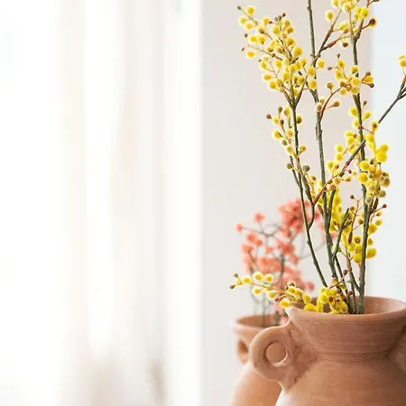 Zabella Ossau - Nuevo Atico A Estrenar En El Tubo Apartment
