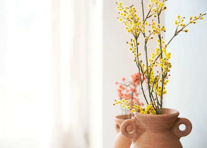 Zabella Ossau - Nuevo Atico A Estrenar En El Tubo Διαμέρισμα